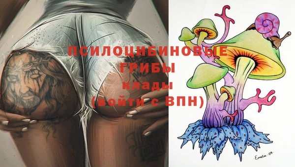 мяу мяу мука Вяземский
