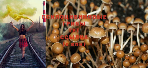 бошки Волоколамск