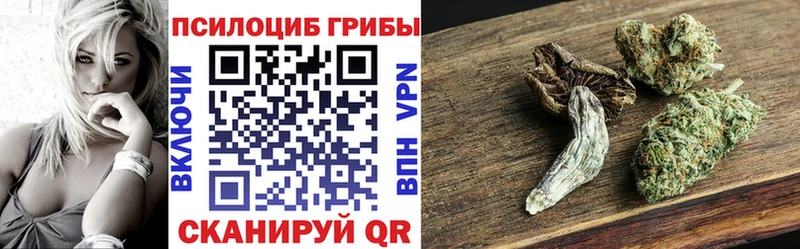 наркота  Духовщина  Псилоцибиновые грибы прущие грибы 